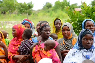 DSC_9463 (Large).JPG